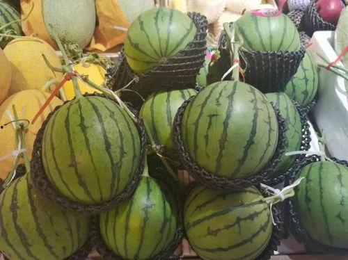 宅在室外吃瓜好吗,宅在室外，畅享夏日清凉时光