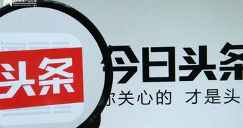 头条干嘛用,揭秘“干嘛用”背后的实用功能与便捷生活