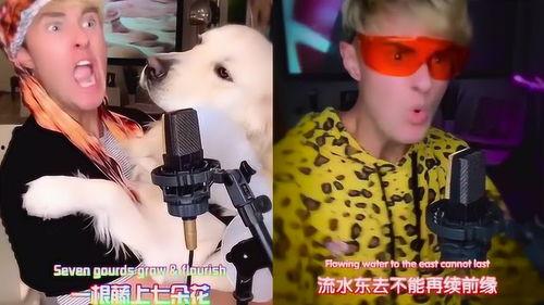 网红黑人老外学英语,趣味横生的英语学习之旅