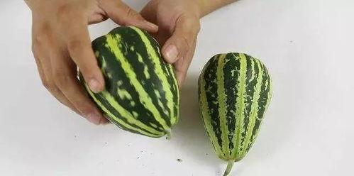 冬天吃瓜怎么吃甜,冬日吃瓜的甜蜜秘诀