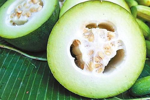 穿越古代带吃瓜系统,带着吃瓜系统，笑看风云变幻