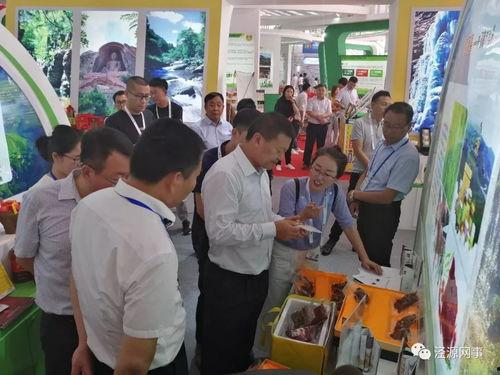 泾源汽车站新闻头条,最新头条聚焦发展新篇章