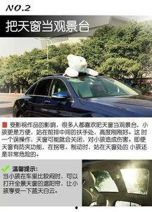 明星开车回家,一路风采尽显