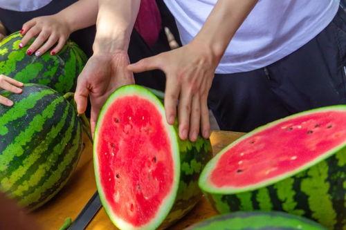 财经大学吃瓜视频,揭秘校园生活趣味瞬间