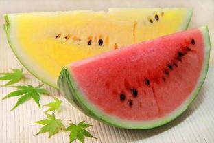 吃瓜大板牙是谁,网络红人的崛起之路