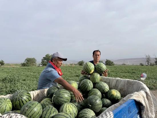 国家能源集团吃瓜,揭秘能源巨头的“吃瓜”故事