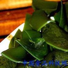 明星海带,海洋中的璀璨明珠