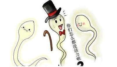 缝针可以吃鸡瓜吗,教你轻松吃鸡瓜新技巧