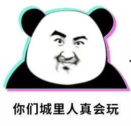 熊猫吃瓜群众头像,揭秘网络时代的“吃瓜”文化现象