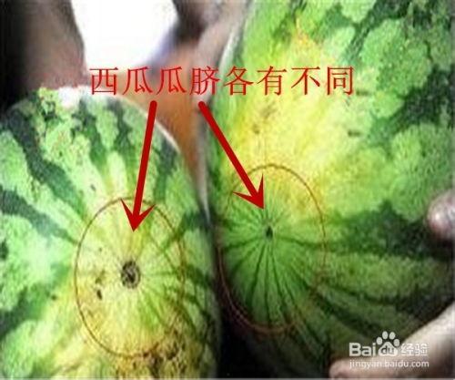 阜阳头条怎么保存西瓜,美味不浪费