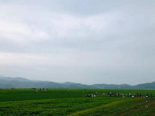荣县网红大草原在哪里,探寻四川新晋旅游胜地