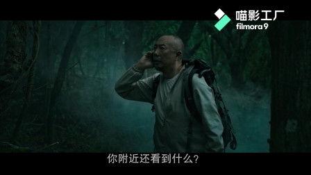 失踪在线观看,揭秘网络迷踪的惊险追踪之旅