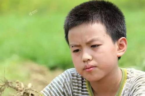 网红男孩表演令人不适,网络狂欢背后的道德反思