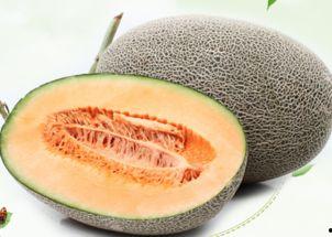 吃哈蜜瓜怎么切瓜,轻松掌握美味瓜果切片技巧