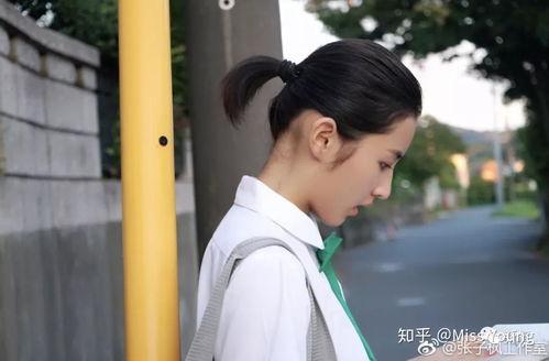 淑女型明星,淑女型明星的时尚风采解析