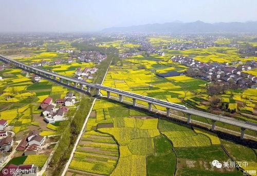 网红汉中天梯在哪,网红打卡地背后的历史与文化