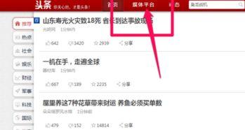 头条文章的审核建议,如何提升内容质量与传播效果