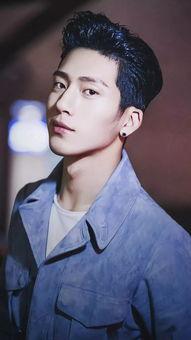 lyc男明星,揭秘lyc男明星的闪耀人生