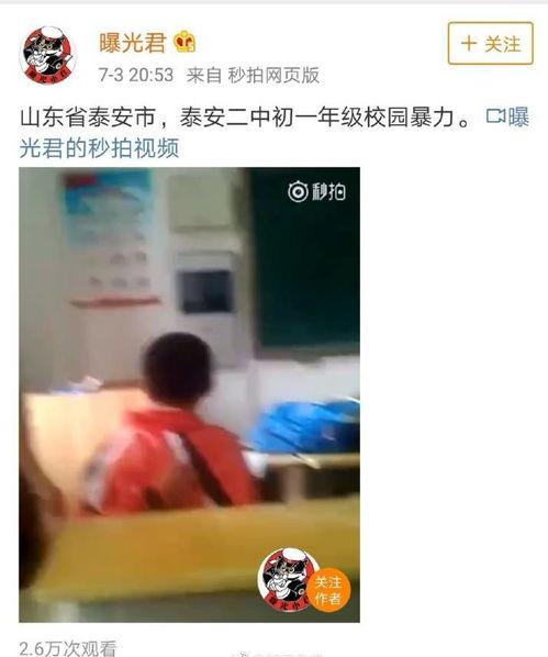 二中最新爆料事件视频,视频揭露惊人真相，事件引发社会关注