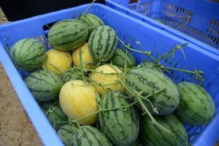 吃瓜群会被封吗