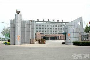 洛阳安乐区今日头条,聚焦发展新动态，共绘美好未来画卷