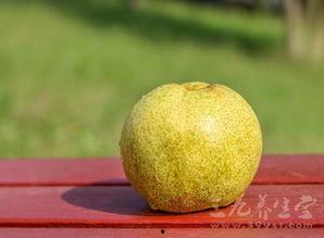 爱上吃瓜的梨子,品味生活百态