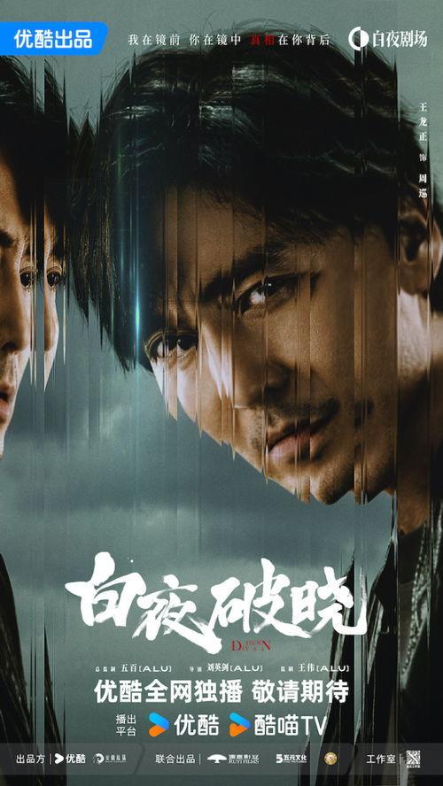 日夜追凶在线观看免费,免费在线观看，揭秘悬疑刑侦大剧