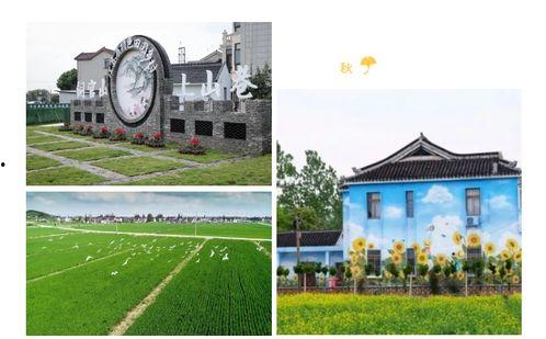 常熟网红仓怎么样,揭秘网红仓的时尚魅力与便捷生活