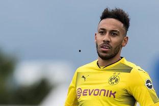 马济奥最新爆料消息新闻,最新热点事件内幕大揭秘