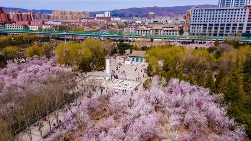 贵港网红打卡地公园