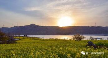 云湖网红,揭秘网红背后的云湖魅力