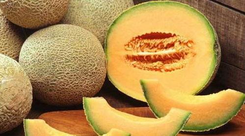 仔仔吃哈密瓜,仔仔的哈密瓜美食之旅